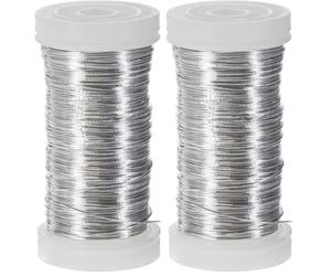 Rayher 2400121 Bobine de fil de fer en platine, Inoxydable, couleur argent-blanche, ø 0,35 mm, longueur 100m, multi-usage, bijoux, objets décoratifs, art floral (Lot de 2)