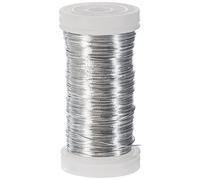 Rayher 2400121 Bobine de fil de fer en platine, Inoxydable, couleur argent-blanche, ø 0,35 mm, longueur 100m, multi-usage, bijoux, objets décoratifs, art floral