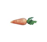 Rayher 3317700 Lot de 10 Carottes en ouate 18 mm
