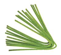 Rayher 5210645 Lot de 10 Fils Chenille - Vert Olive Clair - Longueur 50 cm - Épaisseur 9 mm - en Peluche Flexible pour façonner, bricoler avec des Enfants