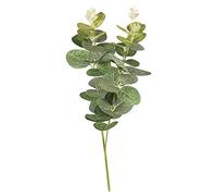 Rayher 55798000 Branche d'eucalyptus