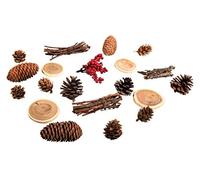 Rayher 55917000 Mélange naturel avec pommes de pin assor., p. déco de noël 20pcs