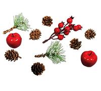 Rayher 55918000 Mélange naturel av. pommes & baies ass., p. déco de noël, 11 pcs