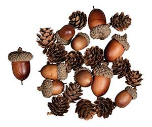 Rayher 55922000 Mélange Cônes de gland ass. 2-4cm, déco de noël plastique, 27pcs, Naturel