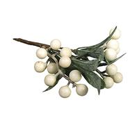 Rayher 55924000 Branche de gui 12x16cm nature, fleur artificielle p déco de noël