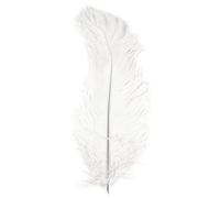 Rayher 8510402 Plume d'autruche Blanc 30 cm