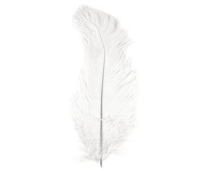 Rayher 8510402 Plume d'autruche Blanc 30 cm