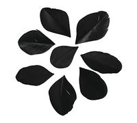 Rayher 85463576 Lot de 36 Plumes coupées SB-Btl Noir 5-6 cm