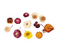 Rayher Assortiment de fleurs séchées naturelles, multicolore, 1 sachet, 10g, arts créatifs, art floral, décoration, scrapbooking-85487000