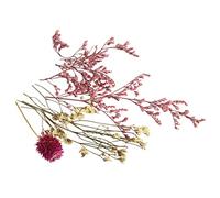 Bouquet de minis fleurs séchées roses Multicolore G