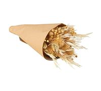 Rayher Bouquet de fleurs séchées naturelles prêt à offrir, ivoire, 1 bouquet, 28cm, emballage papier Craft, arts créatifs, art floral, décoration, scrapbooking-85490505