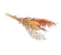 Rayher bouquet de fleurs séchées p. arrangements floraux 18-20 cm 1pce, 85491210