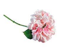 Rayher Branche d’Hortensia artificiel, matériaux mixtes, 33 cm rosé, 55906258