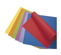 Rayher Carton Photo 81002100 Papier Blanc Neige 50 x 70 cm 300 g/m²