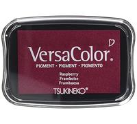 Rayher Coussin encreur «Versacolor», framboise, 1 pce., 9,6x6,3x1,8cm, sol. aqueuse, séchage lent, technique d’embossage, scrapbooking, cartes-29017275