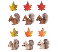 Rayher Embellissements « écureuil et Feuille », en Bois, 4 Couleurs, 12 pces., 3,3-3,5cm, Autocollant, décoration, Table, Cartes, Scrapbooking, Automne -46667999