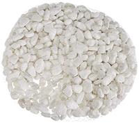 Rayher Galets décoratifs, blanc, 1 sachet, 1Kg, intérieur, extérieur, décoration, art floral, vase-8808102