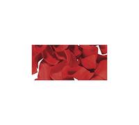 Rayher Hobby 5118718 Ruban en papier Rouge 2,5 cm 10 g