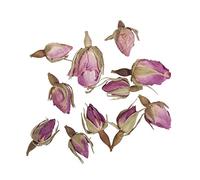 Rayher Lapin en polystyrène assis, lapin de pâques 14 x 8 cm, blanc, 3347900