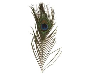 Rayher Lot de plume de paon, vert, 3 pces., 25cm, 8510300