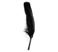 Rayher Lot de Plumes d’oie, multicolore, 8 pces., 16-20cm, arts créatifs, décorations, capteur de rêve, déguisement, masque, carnaval, théatre-85461576