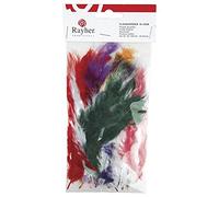 Rayher Mix plumes duvetées loisirs créatifs 7g 10-15 cm 15 pcs coloré, 8516849