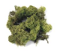 Rayher Mousse d’Islande naturelle séchée, vert clair, 1 sachet, 1 kg, lichen d’Islande, arts créatifs, modélisme, floristique, automne, nid de pâque, crèche, Noël-8500311