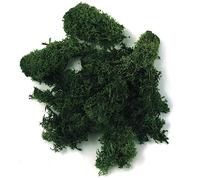 Rayher Mousse d'Islande naturelle déco de noël, pâques 100 g vert foncé, 8503213