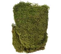 Rayher Mousse naturelle séchée, vert, 1 sachet, 100g, en tapis, arts créatifs, modélisme, floristique, automne, nid de pâque, crèche, Noël-8508300