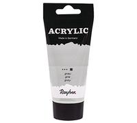 Rayher Peinture Acrylique, Gris, 1 Tube, 75ml, Toutes Surfaces, usages Multiples, Arts créatifs-38912560