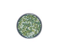 Rayher Perles rocaille, vert, 1 boite, 17g, ø 2,6mm, rocailles, mat, nacré, arts créatifs, bijoux, tissage, broderie-1407000, Teintes vertes, Tons verts