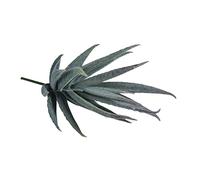 Rayher Plante Grasse Succulente Artificielle Aloe 6x6x13