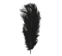 Rayher Plume d’autruche, noir, 1 pce., 30cm, arts créatifs, décorations, déguisement, masque, carnaval, théatre-8510401