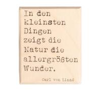 Rayher Tampon, motif NATURWUNDER, bois, 1 pce., 4x5cm, arts créatifs, scrapbooking, cadeau, anniversaire, nature-29273000