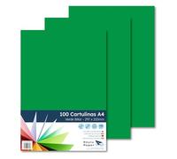 Raylu Paper A4 Coloured Card Paper, 100 Sheets Thick Coloured Card Paper for School, Office, Scrapbooking, Crafts, 180gsm 210x297mm (Vert billard)