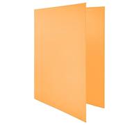Raylu Paper - Classeur A4 avec 4 Anneaux en D de 25 mm, Classeur A4 Rigide pour le Rangement de Documents, Format A4 33,5 cm de Haut par 26 cm de Large et un Dos de 4 cm d'Épaisseur (Orange Pastel)