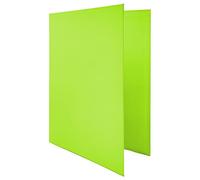Raylu Paper - Classeur A4 avec 4 Anneaux en D de 25 mm, Classeur A4 Rigide pour le Rangement de Documents, Format A4 33,5 cm de Haut par 26 cm de Large et un Dos de 4 cm d'Épaisseur (Vert Clair)
