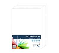 Raylu Paper Lot de 250 feuilles cartonnées A4 blanches 180 g, 210 x 297 mm, idéales pour la reliure, les travaux de bureau, le dessin, les travaux manuels. Convient pour une utilisation scolaire.