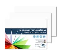 Raylu Paper - Papier Cartonné A3 Coloré, 50 Feuilles Cartonnées, Papier Epais de Couleur, pour l’Ecole, le Bureau, le Scrapbooking, les Activités Manuelles, 297 x 420 mm 180g/m² (Blanc)
