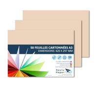 Raylu Paper - Papier Cartonné A3 Coloré, 50 Feuilles Cartonnées, Papier Epais de Couleur, pour l’Ecole, le Bureau, le Scrapbooking, les Activités Manuelles, 297 x 420 mm 180g/m² (Crème)