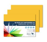 Raylu Paper - Papier Cartonné A3 Coloré, 50 Feuilles Cartonnées, Papier Epais de Couleur, pour l’Ecole, le Bureau, le Scrapbooking, les Activités Manuelles, 297 x 420 mm 180g/m² (Jaune Canari)