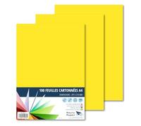Raylu Paper - Papier Cartonné A4 Coloré, 100 Feuilles Cartonnées, Papier Epais de Couleur, pour l’Ecole, le Bureau, le Scrapbooking, les Activités Manuelles, 180g/m², 210 x 297 mm (Jaune Canari)