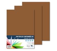 Raylu Paper - Papier Cartonné A4 Coloré, 100 Feuilles Cartonnées, Papier Epais de Couleur, pour l’Ecole, le Bureau, le Scrapbooking, les Activités Manuelles, 180g/m², 210 x 297 mm (Marron)