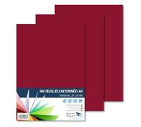 Raylu Paper - Papier Cartonné A4 Coloré, 100 Feuilles Cartonnées, Papier Epais de Couleur, pour l’Ecole, le Bureau, le Scrapbooking, les Activités Manuelles, 180g/m², 210 x 297 mm (Grenat)