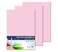 Raylu Paper - Papier Cartonné A4 Coloré, 100 Feuilles Cartonnées, Papier Epais de Couleur, pour l’Ecole, le Bureau, le Scrapbooking, les Activités Manuelles, 180g/m², 210 x 297 mm (Rose)