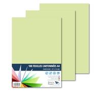 Raylu Paper - Papier Cartonné A4 Coloré, 100 Feuilles Cartonnées, Papier Epais de Couleur, pour l’Ecole, le Bureau, le Scrapbooking, les Activités Manuelles, 180g/m², 210 x 297 mm (Vert Pomme)