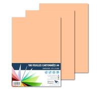 Raylu Paper - Papier Cartonné A4 Coloré, 100 Feuilles Cartonnées, Papier Epais de Couleur, pour l’Ecole, le Bureau, le Scrapbooking, les Activités Manuelles, 180g/m², 210 x 297 mm (Chair)