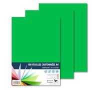 Raylu Paper - Papier Cartonné A4 Coloré, 100 Feuilles Cartonnées, Papier Epais de Couleur, pour l’Ecole, le Bureau, le Scrapbooking, les Activités Manuelles, 180g/m², 210 x 297 mm (Vert Billard)