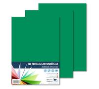 Raylu Paper - Papier Cartonné A4 Coloré, 100 Feuilles Cartonnées, Papier Epais de Couleur, pour l’Ecole, le Bureau, le Scrapbooking, les Activités Manuelles, 180g/m², 210 x 297 mm (Vert Pin)
