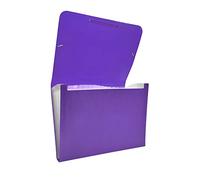 Raylu Paper - Porte Documents A4 en Accordéon pour Documents, Trieur 12 Compartiments en Plastique Opaque avec Séparateurs, Rangement Papiers, Fermeture Élastique (Violet)